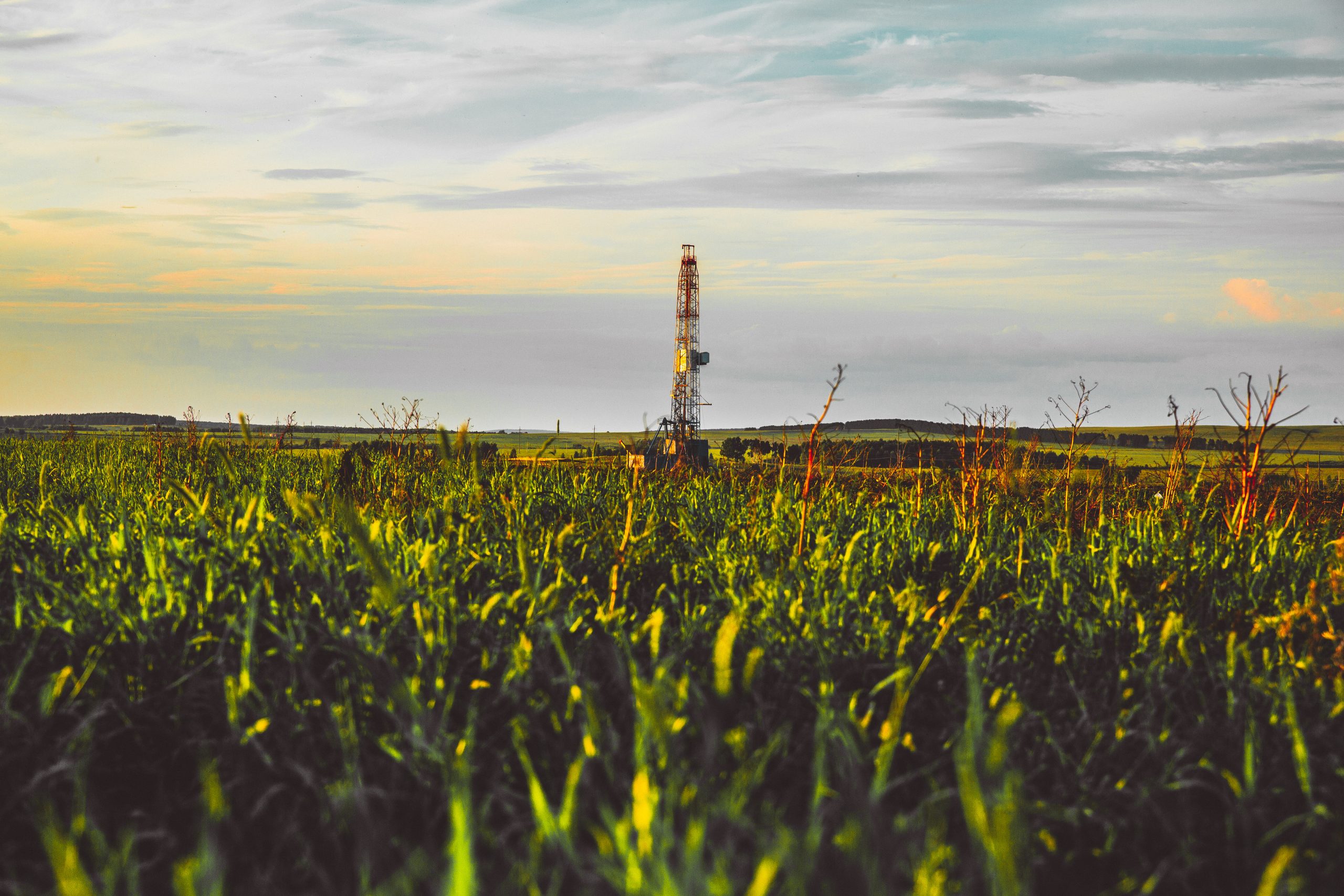 AdobeStock 266420359 scaled AdobeStock 266420359 scaled