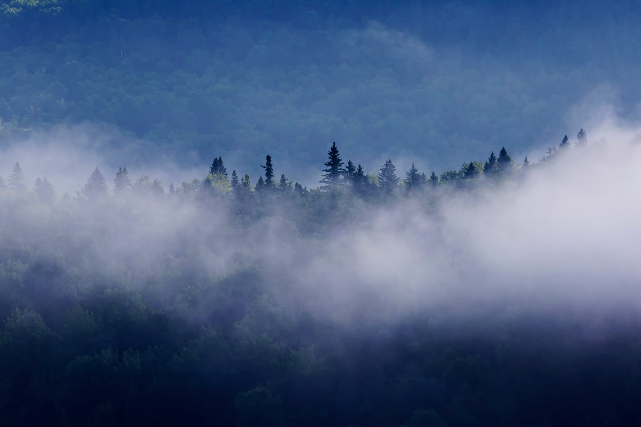 AdobeStock 188952032 scaled AdobeStock 188952032 scaled